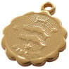 Médaille astro dorée à l'or fin - Poissons