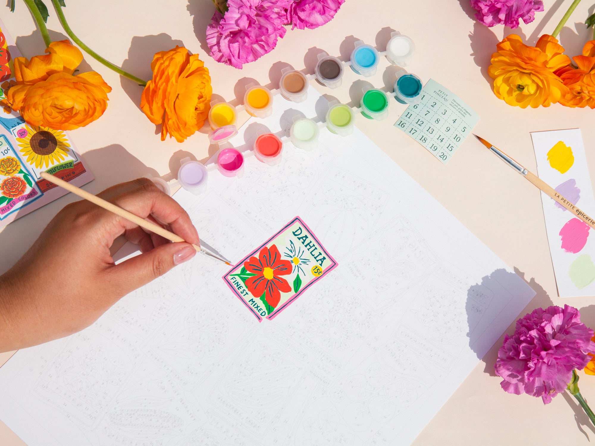 Achat Coffret peinture au numéro - Seed Packets