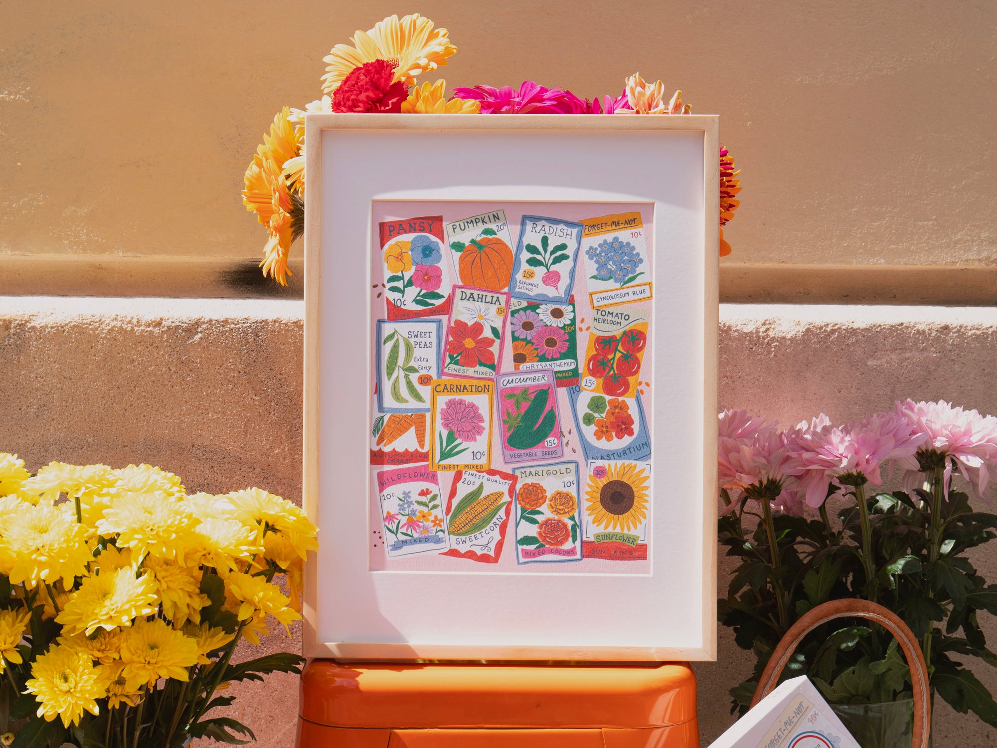 Coffret peinture au numéro - Seed Packets