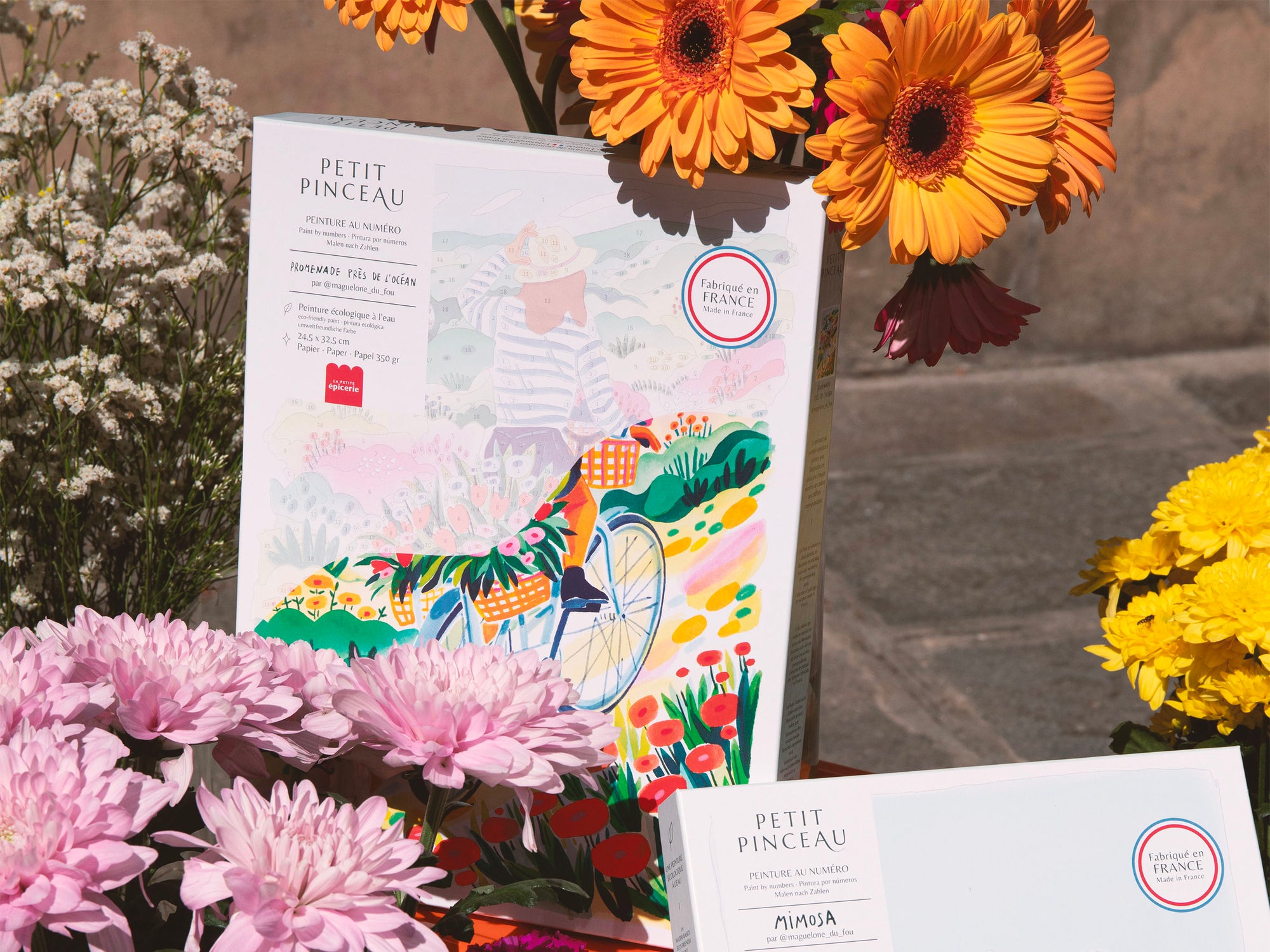 Coffret peinture au numéro - Promenade près de l'Océan