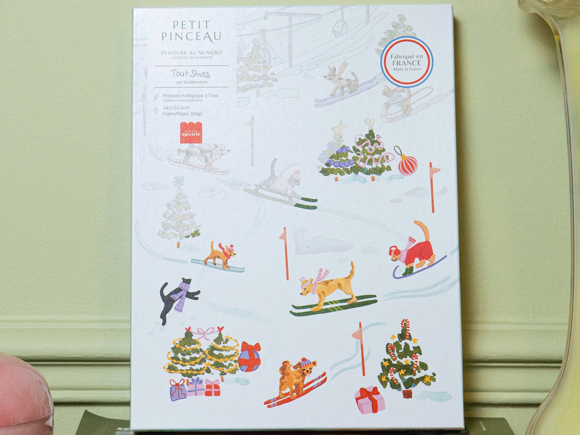 Coffret peinture au numéro - Tout Schuss