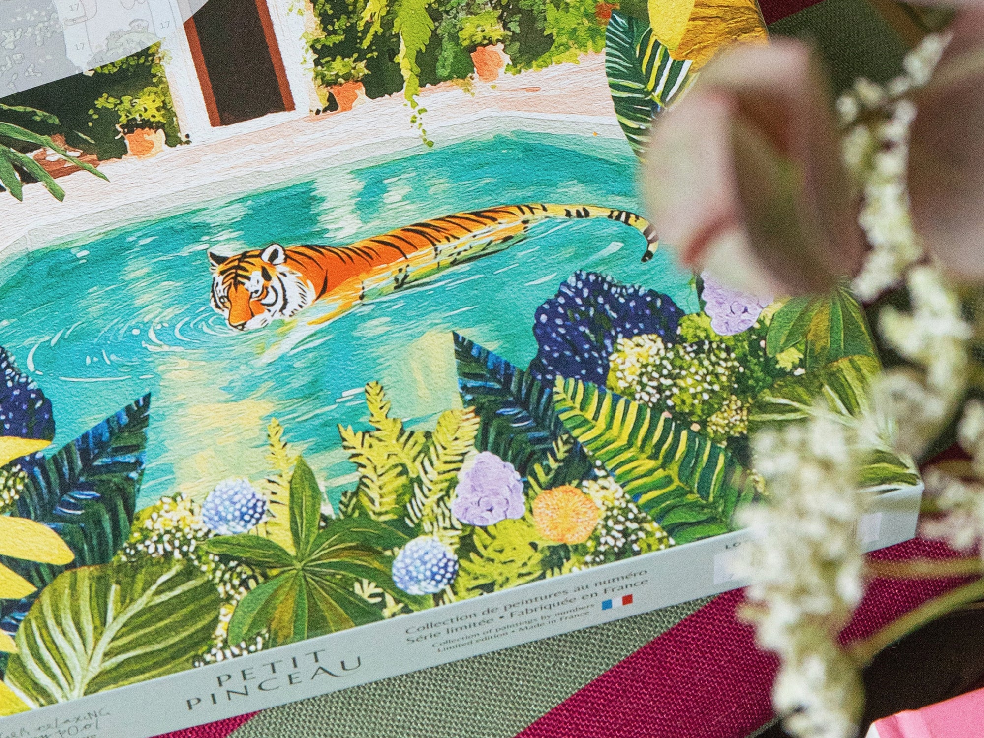 Coffret peinture au numéro - Tiger Relaxing In My Pool